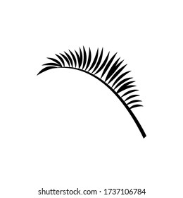 vector palm leaf. exotic leaf isolated
