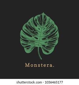 Vector palm leaf illustration on black background. Poster with Monstera.