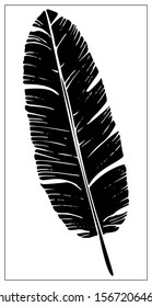 Vector palm leaf. Isolated black and white silhouettes of tropical plants on white background. Vector stock illustration