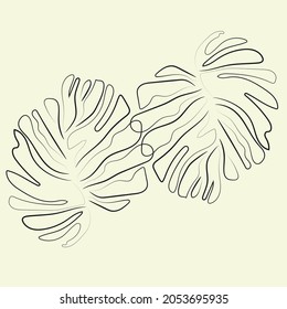 Vector Palm leaf line art illustration