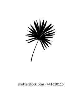 Vector Palm Leaf Silhouette. Palm Leaf Brand Logo.