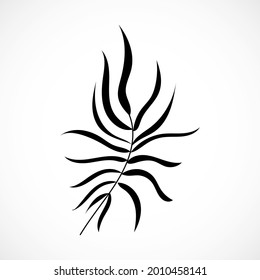 Silhouette de hojas de palma vectorial aislada en fondo blanco. Parte de planta tropical exótica negra. Rama de coco.