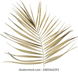 Vector palm leaf. Tropical plant is bright. Paradise, Hawaii, exotic