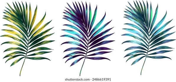 Vector palm leaf. Tropical plant is bright. Paradise, Hawaii, exotic