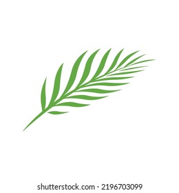 Vector Palm Leave Silhouette Icon. Palm Leave Logo Design. Palm Leaf Silhouette. Palm Leave Pictogram. Vector Illustration