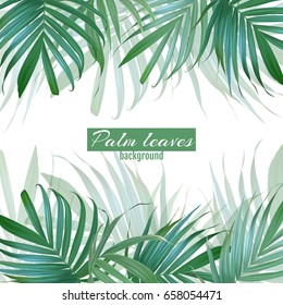 Vector palm leaves background. Tropical banner. Stylish poster with exotic plants. Hawaiian design. Botanical composition. Card with banana leaf. Floral frame.