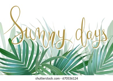 Vector palm leaves background. Tropical banner. Stylish poster with exotic plants. Hawaiian design. Botanical composition. Card with banana leaf. Floral frame. Sunny days handwritten lettering.
