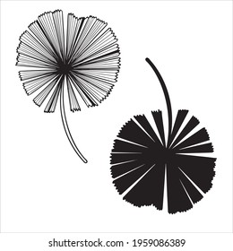 Vector palm leaves, jungle leaves isolated on white background. Palm Leaf Sketch.