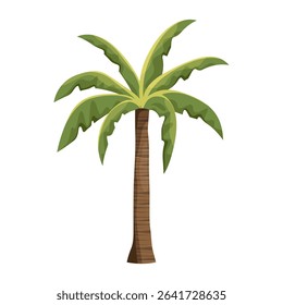 Vector palm plant or isolated beach shore tree. Symbol for exotic and tropical flora or summer nature. Landscape element for island vacation and holiday, relaxation. Sea foliage. Botany and biology.
