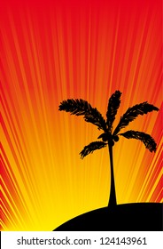 vector palm with sunset background