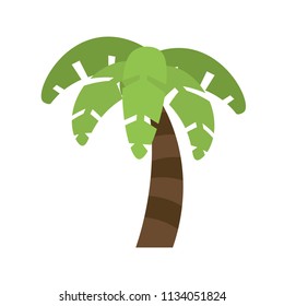 Vector palm tree