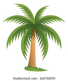 Vector palm tree