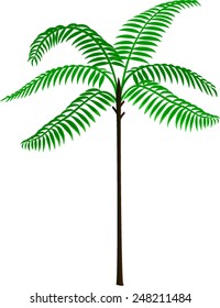 vector palm tree