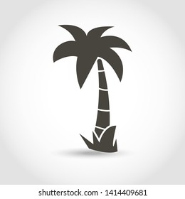 Vector palm tree with grace  black silhouette isolated on a white background