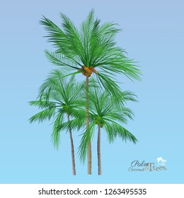 vector of palm tree icons on Blue sky, coconut tree icon for vacation apps and websites. Palm Tree Illustration. realistic trees.