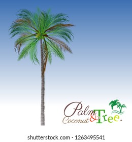 vector of palm tree icons on Blue sky, coconut tree icon for vacation apps and websites. Palm Tree Illustration. realistic trees.