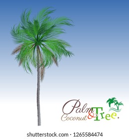 vector of palm tree icons on Blue sky, coconut tree icon for vacation apps and websites. Palm Tree Illustration. realistic trees.
