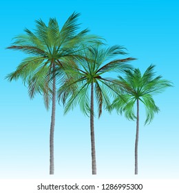 vector of palm tree icons on Blue sky, coconut tree icon for vacation apps and websites. Palm Tree Illustration. realistic trees.