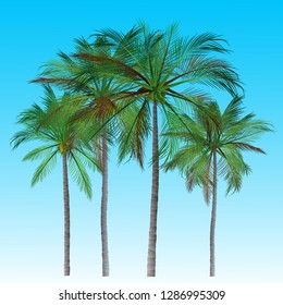 vector of palm tree icons on Blue sky, coconut tree icon for vacation apps and websites. Palm Tree Illustration. realistic trees.