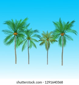 vector of palm tree icons on Blue sky, coconut tree icon for vacation apps and websites. Palm Tree Illustration. realistic trees.