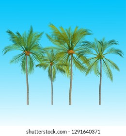 vector of palm tree icons on Blue sky, coconut tree icon for vacation apps and websites. Palm Tree Illustration. realistic trees.