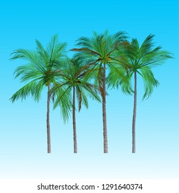 vector of palm tree icons on Blue sky, coconut tree icon for vacation apps and websites. Palm Tree Illustration. realistic trees.
