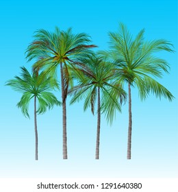 vector of palm tree icons on Blue sky, coconut tree icon for vacation apps and websites. Palm Tree Illustration. realistic trees.