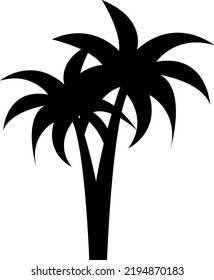 vector palm tree illustration on white background..eps
