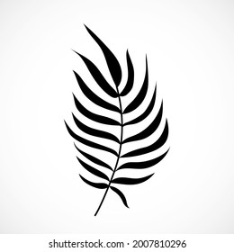 Vector Palm Tree Leaf Silhouette Isolated on White Background. Black exotic tropical plant part. Coconut palm branch.