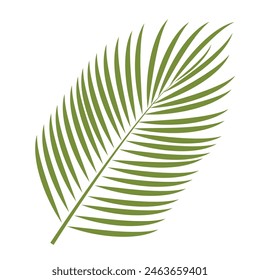 Vector palm tree leaf. Tropical vector. Tropical vector icon isolated on white background. Element for print, banner, card, brochure, logo