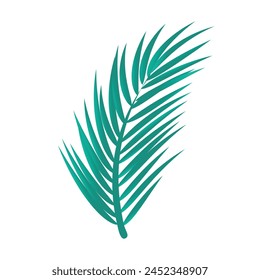 vector palm tree leaves isolated vector illustration.