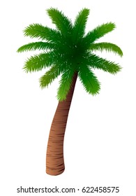 Vector palm tree on white background