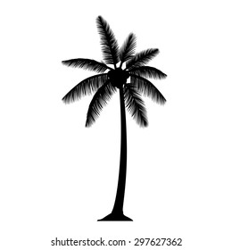 vector palm tree silhouette with coconut