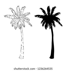 Vector palm tree silhouette icons on white background