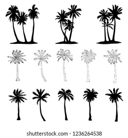 Vector palm tree silhouette icons on white background