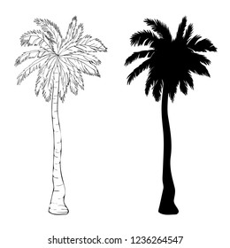 Vector palm tree silhouette icons on white background