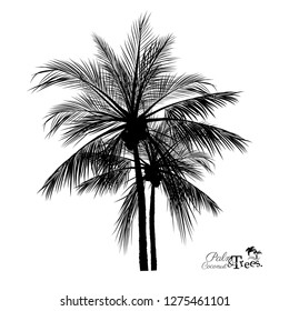 vector of palm tree silhouette icons on white background, coconut tree flat icon for vacation apps and websites.
