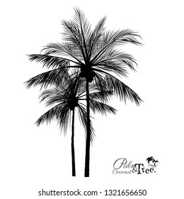 vector of palm tree silhouette icons on white background, coconut tree flat icon for vacation apps and websites.