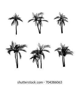 Vector palm tree silhouette icons on white background.