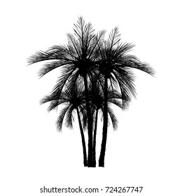 Vector palm tree silhouette icons on white background