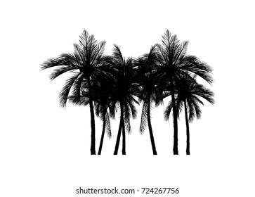 Vector palm tree silhouette icons on white background
