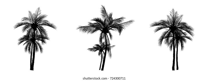 Vector palm tree silhouette icons on white background.