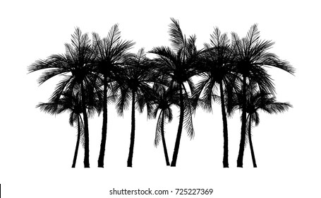 Vector palm tree silhouette icons on white background.