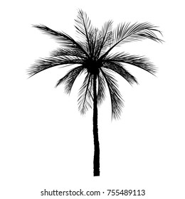 Árbol de palma vectorial, iconos de silueta en fondo blanco  