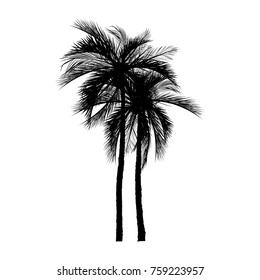 vector of palm tree silhouette icons on white background, coconut tree flat icon for vacation apps and websites.