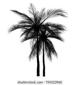 vector of palm tree silhouette icons on white background, coconut tree flat icon for vacation apps and websites.