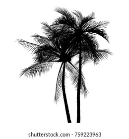 vector of palm tree silhouette icons on white background, coconut tree flat icon for vacation apps and websites.