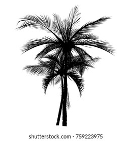 vector of palm tree silhouette icons on white background, coconut tree flat icon for vacation apps and websites.