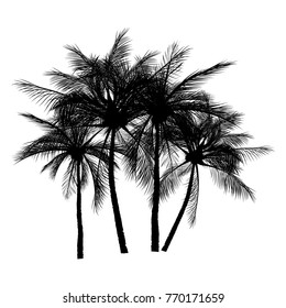vector of palm tree silhouette icons on white background, coconut tree flat icon for vacation apps and websites.