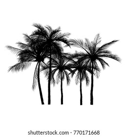 vector of palm tree silhouette icons on white background, coconut tree flat icon for vacation apps and websites.